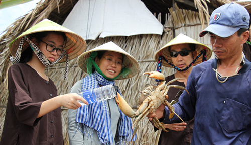 Nữ thạc sĩ bỏ phố vào rừng làm ăn với nông dân