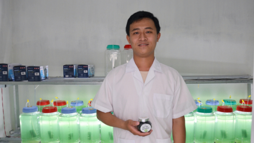 Khởi nghiệp với mô hình nuôi tảo Spirulina