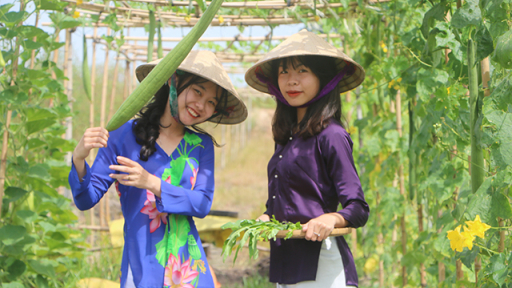 Du lịch miền Tây tìm hướng vượt qua khó khăn trong đại dịch