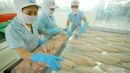 Cá tra xuất khẩu phục hồi, nhưng người nuôi vẫn không lời