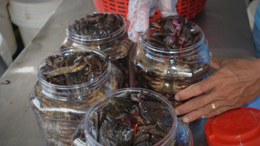 Muối ba khía - nghề di sản ở Đất Mũi