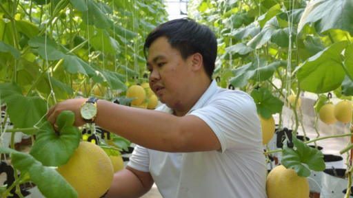 Khởi nghiệp nông nghiệp công nghệ cao từ ý tưởng xử lý bùn thải