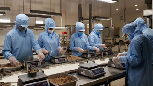 Đồng Tháp phấn đấu đến năm 2025, tỷ lệ lao động qua đào tạo đạt 79%