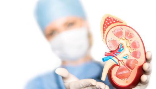 Top 6 loại thực phẩm tốt cho sức khỏe của thận