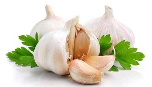 Những tác dụng khi ăn tỏi sống đối với sức khỏe