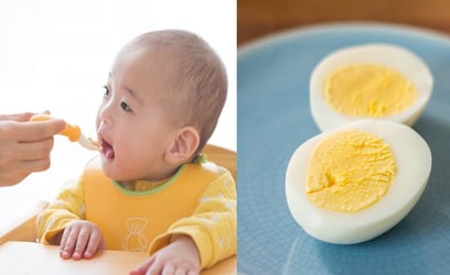 Ăn trứng như thế nào là hợp lý đối với trẻ em?