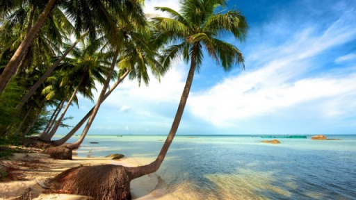 Khám phá bãi biển đẹp nhất Phú Quốc – Bãi Sao