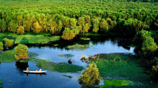 Khám phá vẻ đẹp của vườn quốc gia U Minh Thượng – Kiên Giang