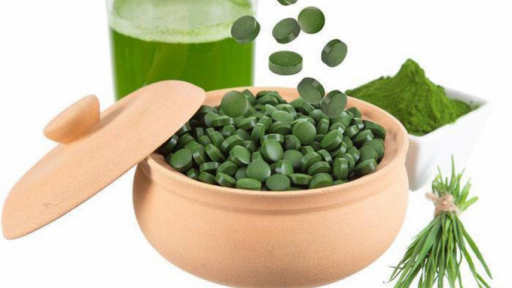 Tảo xoắn Spirulina, món quà dinh dưỡng từ thiên nhiên
