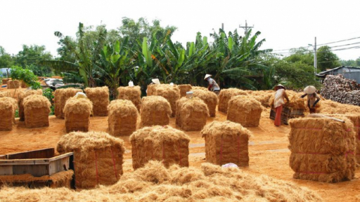 Về dòng sông Thơm - Bến Tre làm nghề “chỉ vàng”
