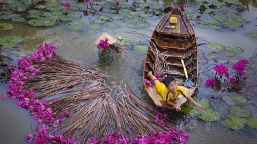 Về miền Tây thưởng thức những món bông mùa nước nổi