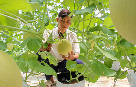 Hậu Giang: Nỗ lực phục hồi và tăng trưởng kinh tế