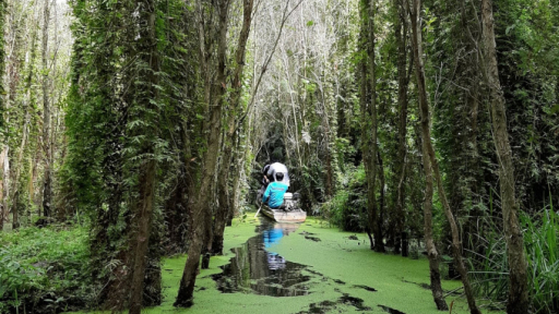 An Giang: Phê duyệt Đề án 