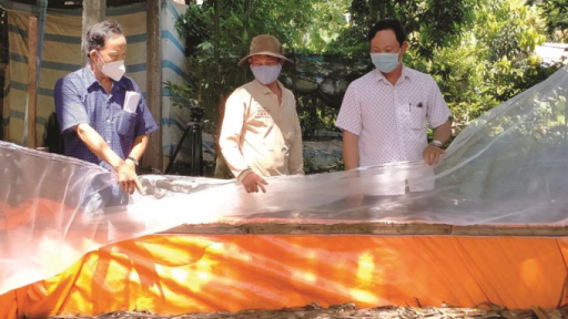 Tạo sinh kế cho người lao động
