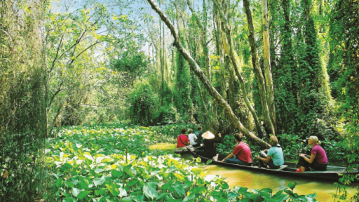 Đồng Tháp: Tiêu chí đánh giá an toàn phòng, chống Covid-19 trong hoạt động du lịch