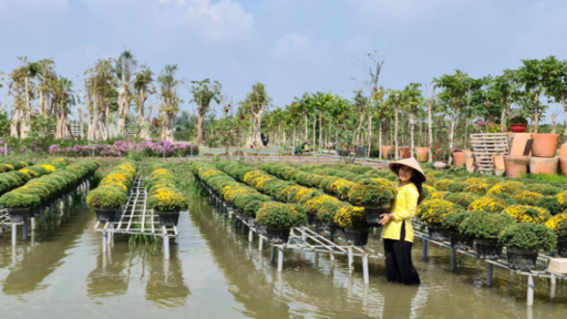 Đồng Tháp đặt mục tiêu thu hút trên 5 triệu lượt du khách