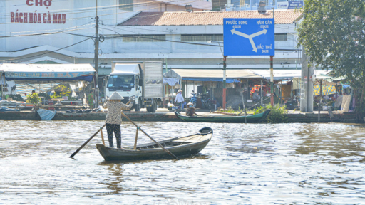 Hiu hiu gió lạnh