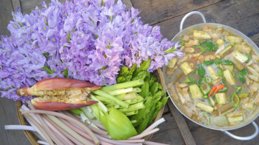 Bồng bềnh trên sông với những đọt lục bình quê hương