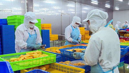 ĐBSCL nhìn từ Nghị quyết 21