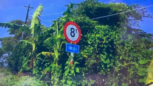 Nông trường Sông Hậu: Hàng hóa kém cạnh tranh do đường hỏng, cầu tải trọng thấp