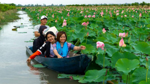 Đồng Tháp có nhiều lợi thế phát triển du lịch nông nghiệp