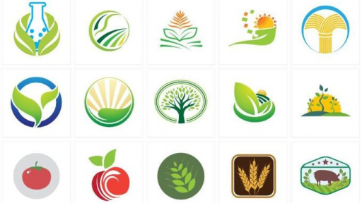 Đồng Tháp: Học sinh thi thiết kế logo sản phẩm nông nghiệp hữu cơ
