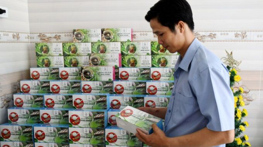 Thanh niên khởi nghiệp thành công với mô hình trồng cây xạ đen