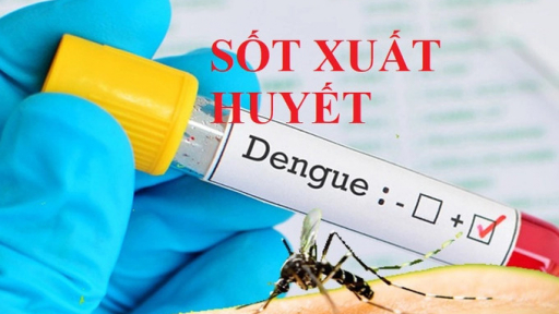 Mắc sốt xuất huyết điều trị ở đâu để an toàn, đúng tuyến?