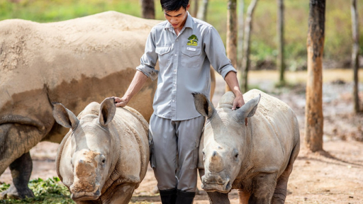 Gặp gỡ “người hùng thầm lặng” tại Vinpearl Safari Phú Quốc