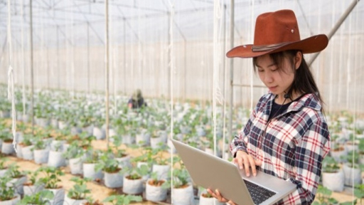 Đồng Tháp hỗ trợ đưa lao động trẻ về làm việc tại tổ chức kinh tế tập thể