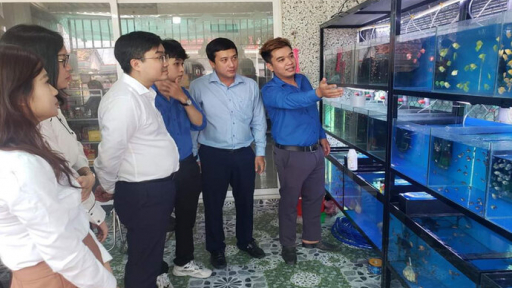 Long An: Chàng trai 9X khởi nghiệp với mô hình nuôi cá Guppy thuần chủng