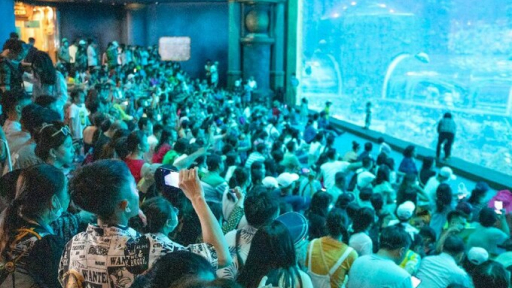 Những hình ảnh “lâu rồi mới thấy” của du lịch Việt dịp lễ 2/9