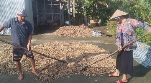 Cà Mau: Khá lên nhờ mua bán nhánh trúc
