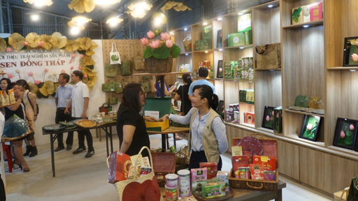Khai trương Điểm tham quan trải nghiệm sen Đồng Tháp