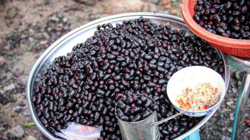 Về miền Tây săn lùng những loại cây trái gắn liền với tuổi thơ của bao thế hệ
