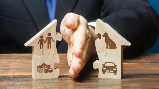Chia tài sản hậu ly hôn: Người cắt đôi nhà, kẻ đòi phân việc nuôi chó