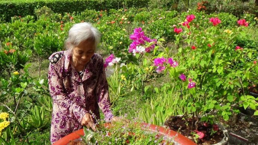 Cà Mau: Bác Nguyễn Thị Dung – Người đam mê làm việc thiện
