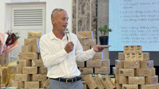 Trà cỏ ngọt MUDARU: Thức uống từ thiên nhiên tốt cho sức khỏe