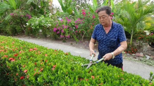 Ông Tổ trưởng