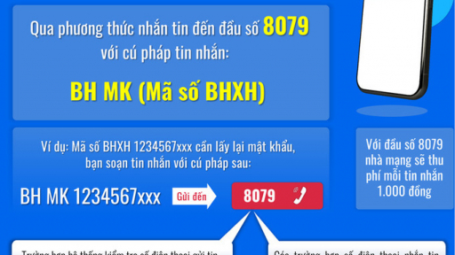 Quên mật khẩu VssID làm cách nào để lấy lại?