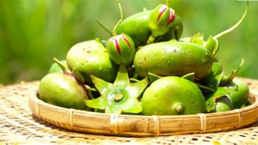 Cây mọc hoang ở Việt Nam, được nhiều nước trên thế giới dùng làm thuốc