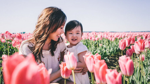 Bạn đồng hành của mẹ