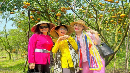 Đồng Tháp: Khai thác du lịch từ vườn xoài, quýt