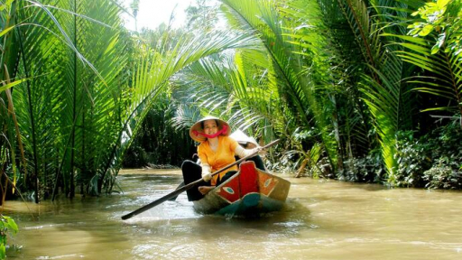 Rặng dừa nước đong đưa