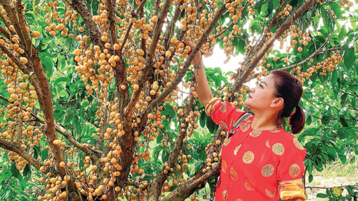 Du lịch Cần Thơ mùa trái cây