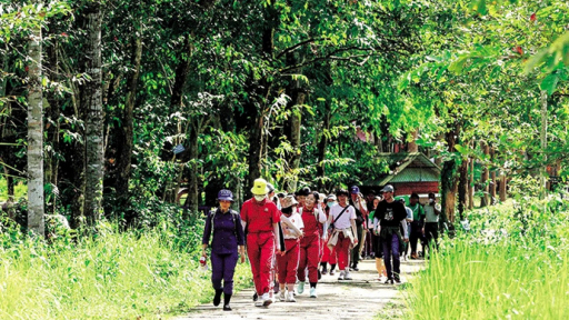 Mùa hè lên rừng