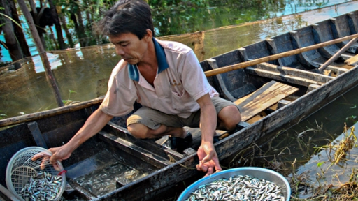Hương vị miền Tây và những câu chuyện từ mùa nước nổi
