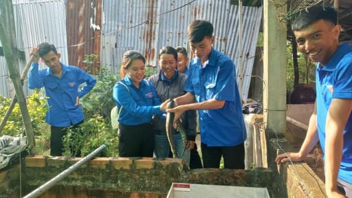 Đồng hành với thanh niên khởi nghiệp