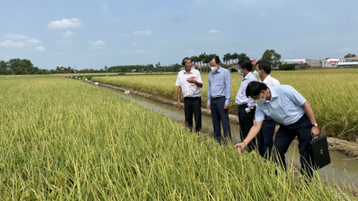 Sóc Trăng: Một năm đầy khởi sắc về kinh tế và xã hội