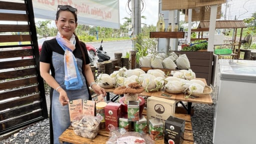 Nấm mối Nàng Nương: Mô hình nông nghiệp bền vững gắn kết cộng đồng